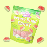 Nouveaux bonbons lyophilisés populaires saveurs de fruits assorties bonbons gommeux lyophilisés bonbons croquants
