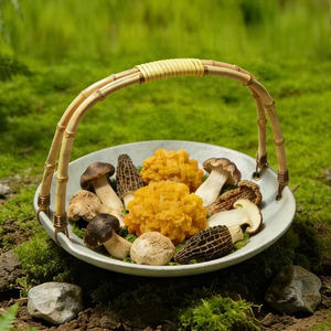 Plato de <span class=keywords><strong>melamina</strong></span> A5 personalizado con patrón sólido, estilo chino nuevo, para restaurante de hot pot, plato de champiñones y verduras, comercial - Product Image 1