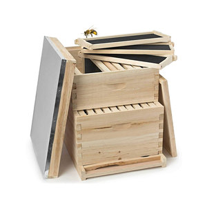 Caja de Abejas Langstroth Profunda y Sencilla de Madera de Pino Fresca para Apicultura - Product Image 1