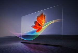 Pantalla LED Transparente para Montaje en Pared Interior 178 °   Ángulo de Visión, Color Azul Claro, Uso Publicitario - Product Image 4