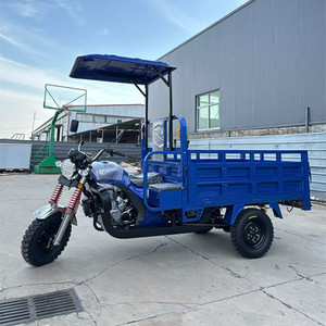 Triciclo Motorizado de 3 Ruedas de 50cc-350cc con Toldo, Triciclo de Gasolina para Transporte Agrícola Moderno - Product Image 3