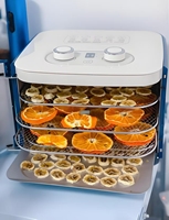 Mini-vriesdroogmachine voor het vriesdrogen van voedsel, fruit, groenten, snoep; klein schaalvriesdroogproces