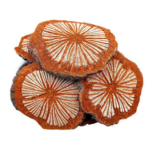 中国の野生のハーブ薬Danshen Chuanxiongタブレット止血茶醸造ウェルネス健康製品バッグ包装 - Product Image 6