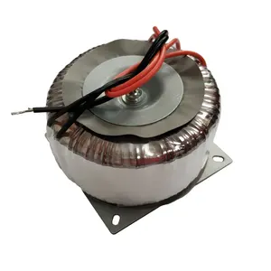 Transformateur 110v 220v 50W 80W 100W 120W 150W Transformateur toroïdal pour onduleur solaire