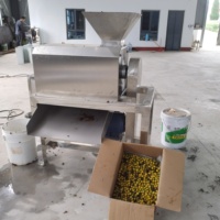 Schil- en pulpmachine voor mango, passievrucht, wampee en lychee; fruitpulpmachine voor tomaat en kiwi.