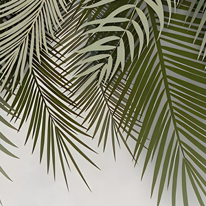 JA Tende Trasparenti a Tubo in Terylene in Due Pezzi Stampa Digitale a Foglia Misure Personalizzabili Stile Moderno Disponibili per Tutte le Stagioni - Product Image 3