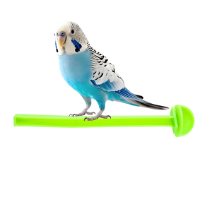 Supporto per Gabbia di Uccelli in Plastica, Pali per Pappagalli e Uccelli Domestici, Bastoncini da Mordere per Pappagallini e Fringuelli, Colore Casuale - Product Image 2