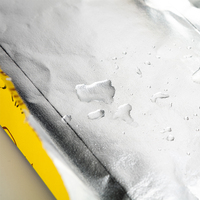 Sac d'emballage alimentaire en papier kraft isolé avec logo personnalisé, feuille d'aluminium, thermoscellable, résistant à la graisse, pour emporter du café ou du thé