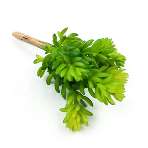 人工多肉植物ミニジューシー人工緑かわいい多肉植物盆栽装飾ホーム & オフィスグリーン装飾工場 - Product Image 4