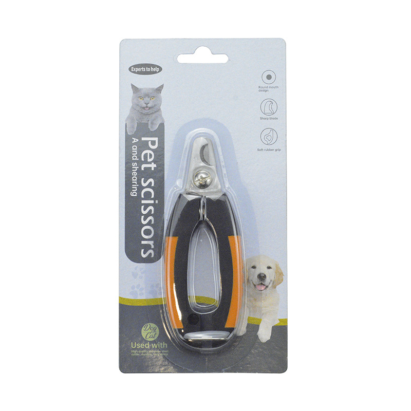 Chien de petite taille coupé orange