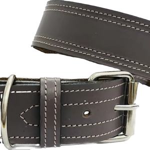 Recién llegado, Collar de perro de cuero de neón negro de lujo, Collar de entrenamiento para mascotas pequeño acolchado suave, patrón sólido de gama alta - Product Image 1