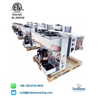 Ice Bear Freezer pendingin komersial hemat energi, sistem pendingin terpasang di samping-suhu 22-10