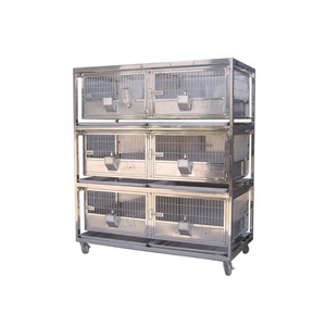 Gabbie per Porcellini d'India CR200-15 in Policarbonato per Laboratorio, Gabbie per Topi, Roditori, Criceti, Porcellini d'India e Altri Piccoli Animali - Product Image 4