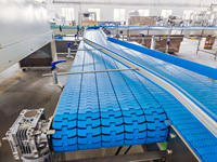 Complete Waterproductielijn Op Maat Gemaakt Ontwerp Van De Waterinstallatie Voor Blazen/Waterbehandeling/Vulling/Etikettering/Verpakking