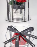 Coffret Cadeau pour Maman 2026 Fête des Mères Saint-Valentin Remise des Diplômes Nouvel An – Fleurs Éternelles Préservées, Durabilité 5 Ans