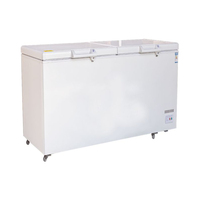 Congélateur Coffre Horizontal Double Porte Commercial pour Supermarché