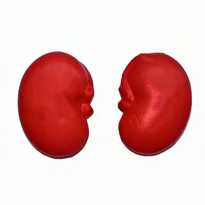 Ballons anti-stress personnalisés en mousse PU en forme de rein avec impression de logo – Anti-stress portables unisexes pour cadeaux promotionnels de marque - Product Image 4
