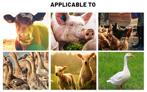 macchine e granulatori per la fabbricazione di granuli destinati all’alimentazione animale. - Product Image 5