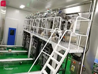 RL420-Envasadora automática de bolas de caramelo de chocolate vffs, para bolsas triangulares/bolsitas con 14 cabezales