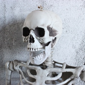 <span class=keywords><strong>Esqueleto</strong></span> de plástico para Halloween, <span class=keywords><strong>esqueleto</strong></span> realista de tamaño real, <span class=keywords><strong>con</strong></span> articulaciones móviles, accesorios para Halloween, escena escalofriante - Product Image 5