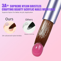Nouveau Pinceau à ongles professionnel pour manucure et gel, à pointe en cristal, avec poils en nylon et 5% Kolinsky, manche en bois, pour nail art