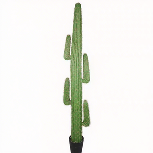<span class=keywords><strong>Cactus</strong></span> Artificial Planta en Maceta Realista Suculenta para Bajo Mantenimiento Mini Desierto Estilo Paisaje Decoración Jardinería Proveedor - Product Image 2
