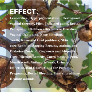 Capsule di Estratto di <span class=keywords><strong>Galle</strong></span> di <span class=keywords><strong>Quercia</strong></span> Pura OEM per Riparazione Post-Parto e Rassodamento Vaginale nelle Donne - Product Image 5