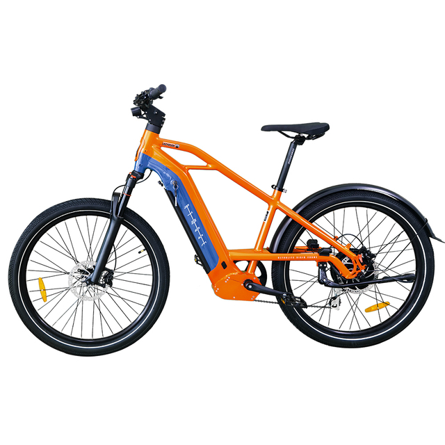 Cross Country E Bike Drop Shipping 2 Wheel Electric Cargo Bike Camping Bike Trailer