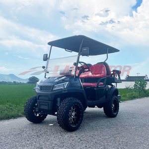 2024 pas cher hors route <span class=keywords><strong>chasse</strong></span> essence Buggy 4 6 places Club Car 4X4 chariot de golf à essence à vendre - Product Image 5