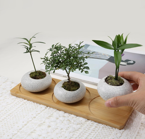 Plante <span class=keywords><strong>de</strong></span> seuil <span class=keywords><strong>de</strong></span> <span class=keywords><strong>fenêtre</strong></span> multifonctionnelle Plateau en bois <span class=keywords><strong>pour</strong></span> plantes <span class=keywords><strong>de</strong></span> table Sous-verres <span class=keywords><strong>pour</strong></span> plantes succulentes Soucoupes <span class=keywords><strong>pour</strong></span> jardinières en bambou - Product Image 4