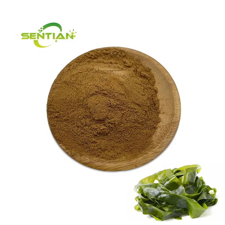 Suministro Herbal Laminaria japonica Extracto de algas marinas naturales en polvo