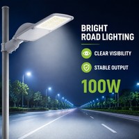 Lampadaire LED 100W IP66 à large plage de tension AC100-277V pour projets d'éclairage public des routes urbaines secondaires et des autoroutes