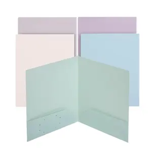 Wholesale 8 Colored Plastic File Folders With 2 Pockets For office supplies/teacher/school/students/planner