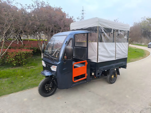 Triciclo Elettrico Passeggeri a 3 Ruote da Fabbrica Cinese, 2000W 60V, Tuk Tuk Taxi con Carrozzeria Chiusa, 6 Posti e Autonomia 30-50km - Product Image 4