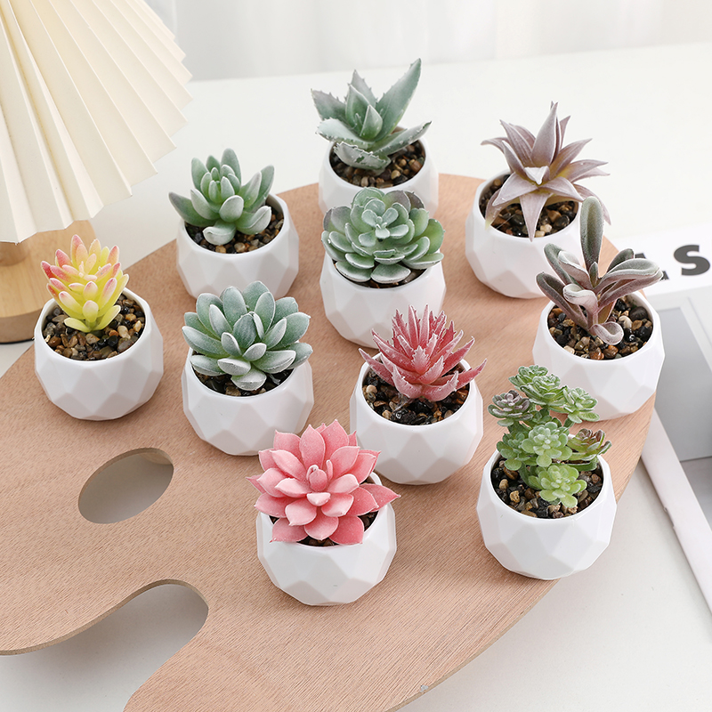 10 Pcs Artificial Succulent Plants Potted Flower Flofking Succulents Mini  Picks Bulk Stems for Home Indoor Garden Decorations| Alibaba.com