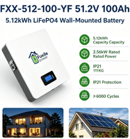 Batterie murale de stockage d'énergie solaire hors réseau pour la maison, 51,2 V 100 Ah 5,12 kWh, batterie LiFePO4 avec communication RS485 CAN