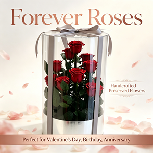 Rosa Eterna Attiva '<span class=keywords><strong>Giardino</strong></span> <span class=keywords><strong>Segreto</strong></span>', Rosa Rossa Conservata, Regalo per Decorazioni Eventi, Festa della Mamma, San Valentino, Natale - Product Image 5