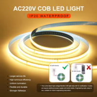 Bande lumineuse LED COB sans conducteur AC 110/220V 8mm IP20 296 LED/M 2700-6000K pour éclairage de fond DIY de chambre et cuisine