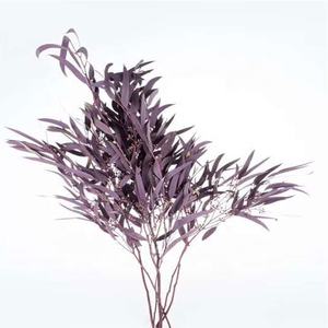 Cabang Bunga Kering Beku Daun Eucalyptus yang Diawetkan dengan Buah - Product Image 2