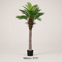 3 tailles de palmiers artificiels en PE, palmiers Areca artificiels pour la décoration de la maison, du bureau, de l'hôtel, vente en gros, approvisionnement en vrac, directement de l'usine