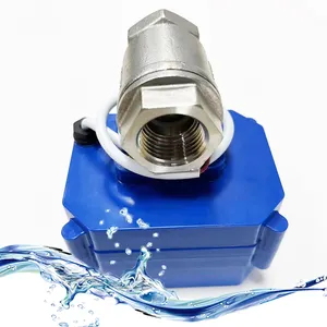 CWX-60P DC3-6V DC12V ADC24V AC220V DN15 DN20 DN25 DN32 BSP NPT cwx electric motorized solenoid valve motorized valve