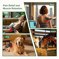 Équipement vétérinaire laser, appareil laser froid pour animaux, soulagement de la douleur, hernies discales, arthrose, récupération post-chirurgicale