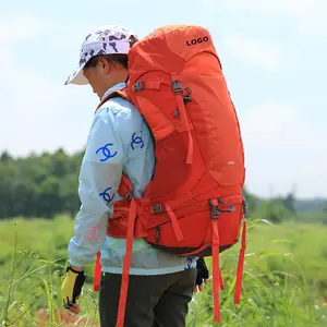 Custom 50L Outdoor Waterproof Backpack Hiking Backpack Bags For Travel