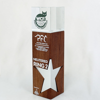 Nouveau trophée en métal en forme d'étoile à cinq branches, médailles en cristal, plaques de récompense avec photo pour les compétitions