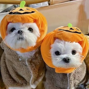 Gorro de calabaza de Halloween para perros pequeños, medianos y grandes, disfraz para mascotas, gorro con estampado de animales naranja, uso en las cuatro estaciones - Product Image 1
