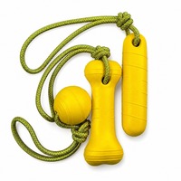 Ensemble de jouets à mâcher pour chien LY Classic Cute Durable, en mousse EVA écologique, 3D, élégant, pour l'intérieur et l'extérieur, soulage l'ennui du chien