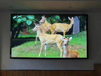 Écran led haute définition, écrans led à bas prix, panneau couleur led mur p3 modules led
