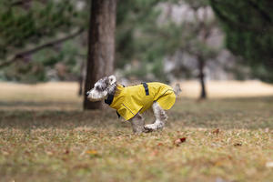 Açık Hava Hafif Küçük Orta Boy Köpek Yağmurluğu Rüzgar Geçirmez Su Geçirmez Polyester Dört Ayaklı Evcil Hayvan Su Geçirmez Ceket - Product Image 4