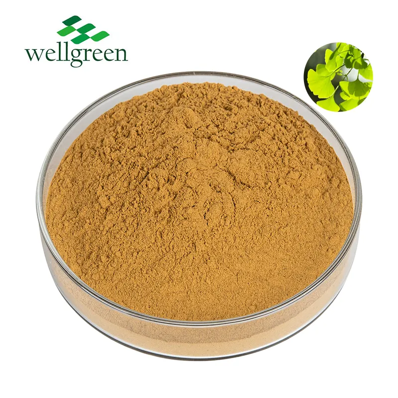 Poudre d'extrait de feuille de Ginkgo Biloba de haute qualité 24 flavone 6 lactones