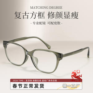 Monturas de Gafas Rectangulares para Mujer Danyang B8818, Montura Completa, Lentes de PC, Cómodas para Rostros Cuadrados y Redondos - Product Image 5